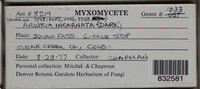 Image Associated With the Occurence